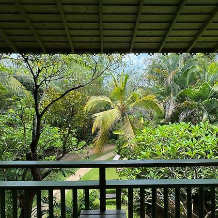 乌纳瓦图纳奥洛拉住宿加早餐旅馆住宿加早餐旅馆 外观 照片