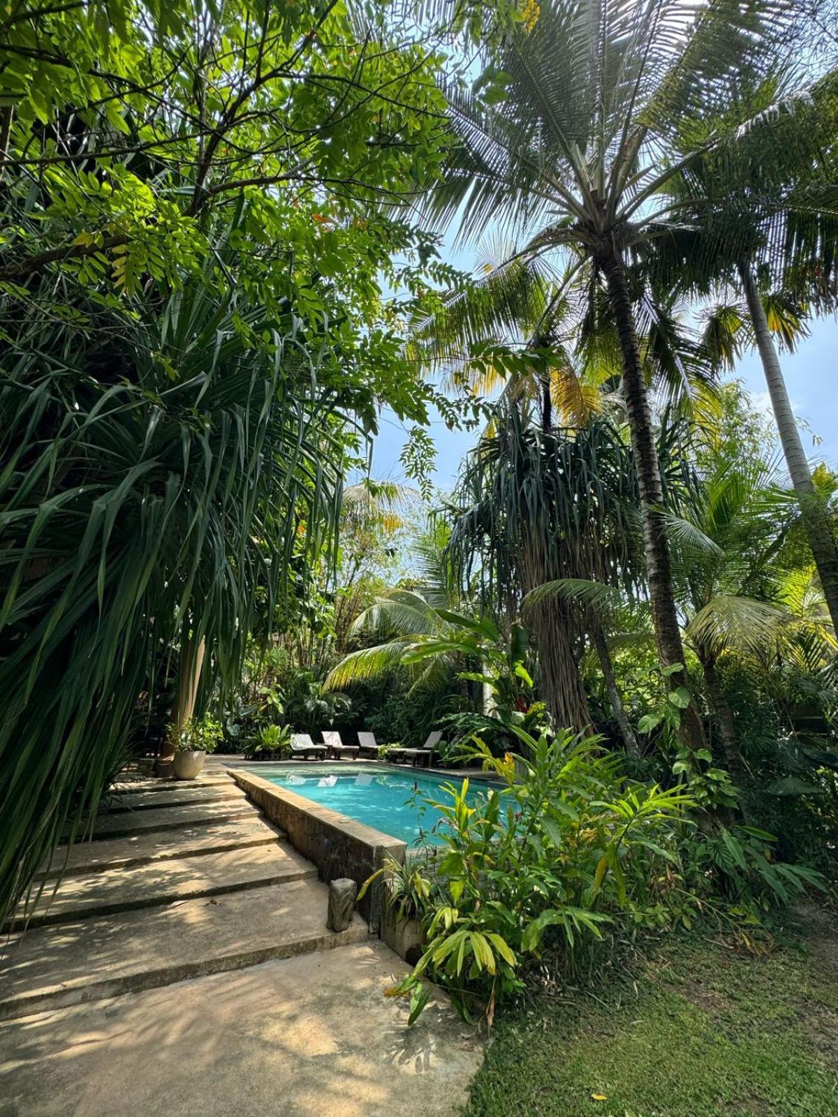 乌纳瓦图纳奥洛拉住宿加早餐旅馆住宿加早餐旅馆 外观 照片