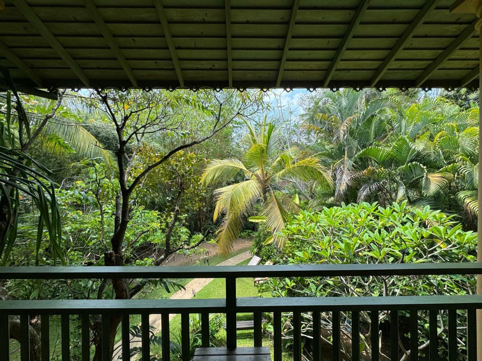 乌纳瓦图纳奥洛拉住宿加早餐旅馆住宿加早餐旅馆 外观 照片